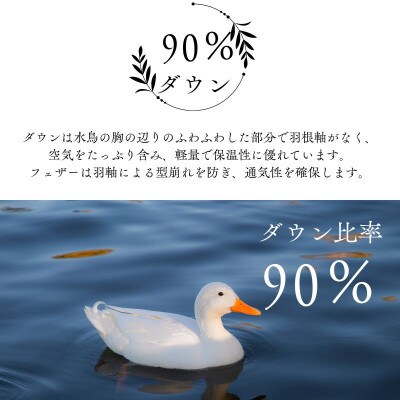 【春夏用】洗える羽毛肌掛け布団シングルサイズダウン90%0.3kgダウンケット洗濯可能ブルー　国産