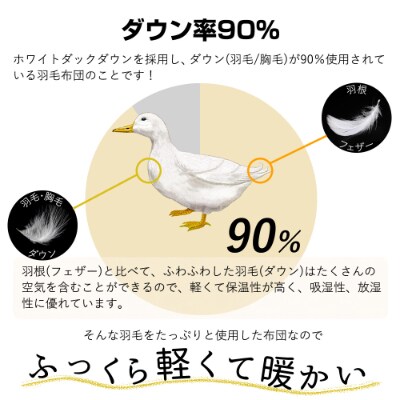 【洗える】羽毛掛ふとん(garbcasa)シングルダウン90%ブルー抗菌防臭防ダニ立体キルト