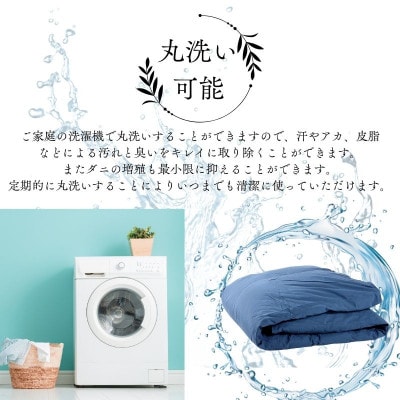【洗える】羽毛掛けふとんダブル日本製ダウン90%無地クリーム抗菌防臭防ダニ立体キルト