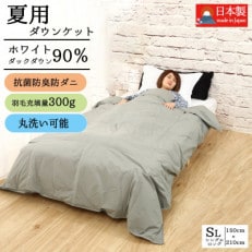 【春夏用】洗える羽毛肌掛け布団シングルサイズダウン90%0.3kgダウンケット洗濯可能グレー　国産 | ふるさと納税のお礼品
