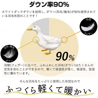 羽毛布団シングル二枚合わせ 合掛布団0.8kg/肌掛布団0.3kg オールシーズン対応 クリーム