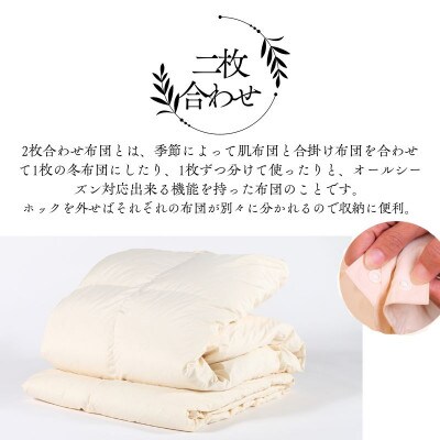 【洗える】羽毛布団キング二枚合わせ オールシーズン対応 クリーム抗菌防臭防ダニ羽毛掛けふとん