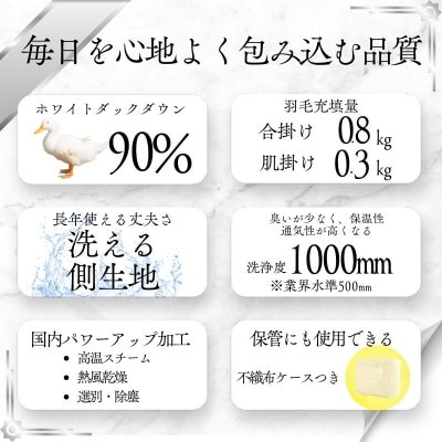 【洗える羽毛布団】羽毛本掛け布団シングル 2枚合わせ洗濯可国産 抗菌防臭防ダニ ネイビー