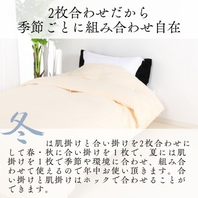 【洗える羽毛布団】羽毛本掛け布団シングル 2枚合わせ洗濯可国産 抗菌防臭防ダニ ネイビー