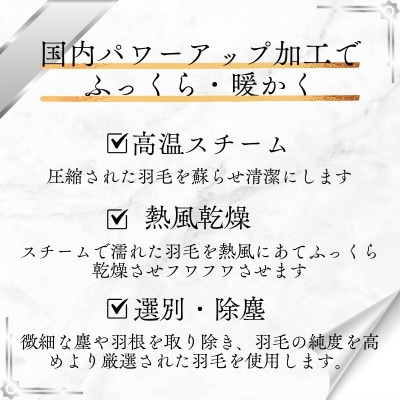 【洗える羽毛布団】羽毛本掛け布団シングル 2枚合わせ洗濯可国産 抗菌防臭防ダニ ネイビー