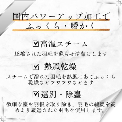 【洗える羽毛布団】羽毛本掛け布団シングル 2枚合わせ洗濯可国産 抗菌防臭防ダニ ネイビー