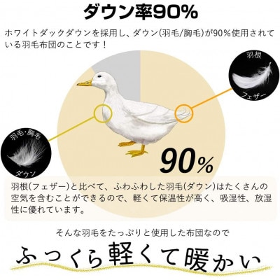 【洗える】羽毛肌掛け布団ダブルサイズダウン90%ダウンケットクリーム抗菌防ダニ防臭羽毛ふとん
