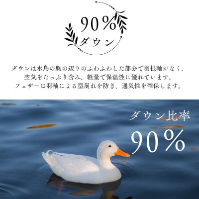 【洗える】羽毛肌掛け布団シングルサイズダウン90%北欧調ガーブカーサグレーダウンケット