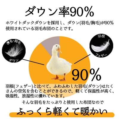 【洗濯できる】羽毛合い掛け布団シングル 羽毛1.0kg 北欧デザイン コーラル抗菌防臭防ダニ素材
