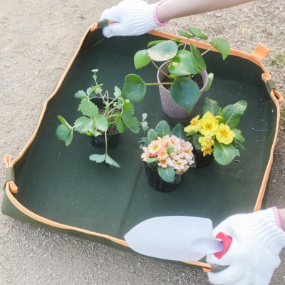 グリーンアップマイスター　園芸トレーシート