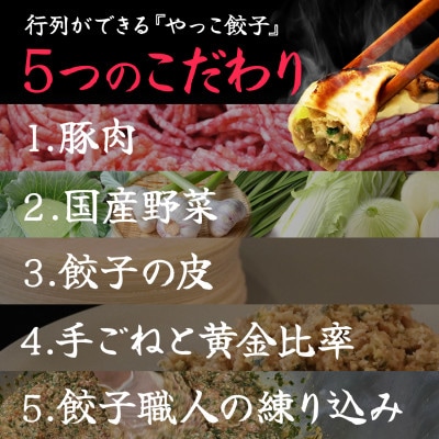 やっこ餃子