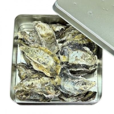 《冷凍殻付》ぷりぷり牡蠣のカンカン焼きセット(約1.6kg～1.8kg|約18個前後)　牡蠣佃煮付き