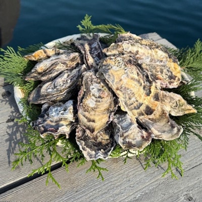 《冷凍殻付》ぷりぷり牡蠣のカンカン焼きセット(約1.6kg～1.8kg|約18個前後)　牡蠣佃煮付き