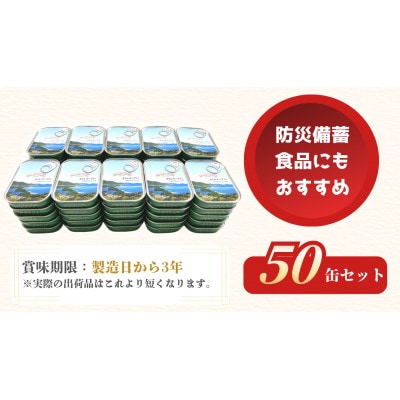 京都 橋立印オイルサーディン(いわし油づけ)50缶入 防災など非常食の備蓄としても人気