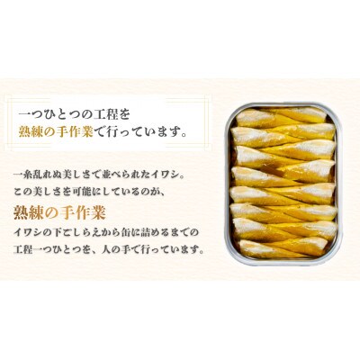 京都 橋立印オイルサーディン(いわし油づけ)20缶入 防災など非常食の備蓄としても人気