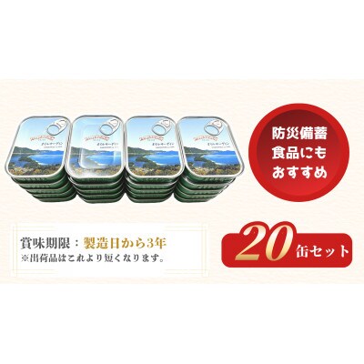京都 橋立印オイルサーディン(いわし油づけ)20缶入 防災など非常食の備蓄としても人気