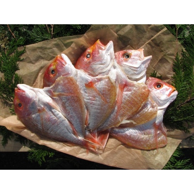 丹後のお魚屋さん一押しの絶品レンコダイの一夜干し5枚(冷蔵)