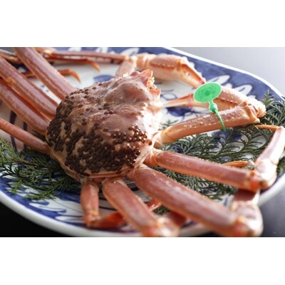 松葉ガニ 大サイズ 1杯 & セコガニ 中サイズ 2杯 セット