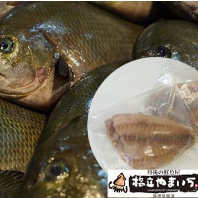 メジナ(生)3枚卸し(2尾分)
