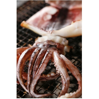 柔らか肉厚の スルメイカ 一夜干し 1枚