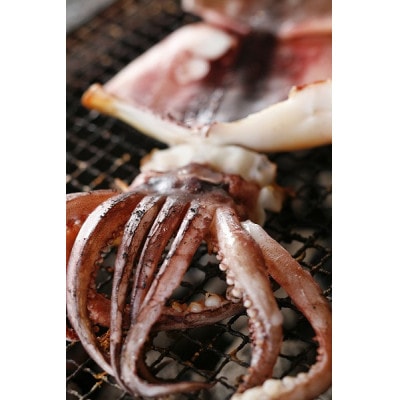 柔らか肉厚の スルメイカ 一夜干し 6枚