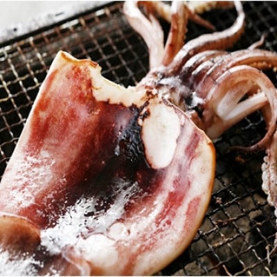 日本海産　柔らか肉厚のスルメイカ一夜干し(大)3枚　【冷蔵】