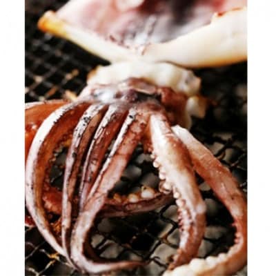 日本海産　柔らか肉厚のスルメイカ一夜干し(大)3枚　【冷蔵】