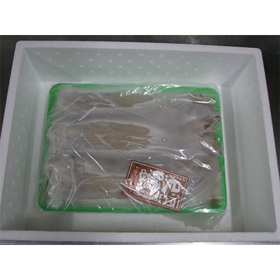 【3ヵ月毎定期便】日本海産　柔らか肉厚のスルメイカ一夜干し(大)3枚全4回