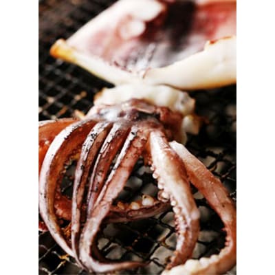 【毎月定期便】日本海産　柔らか肉厚のスルメイカ一夜干し(大)3枚全6回