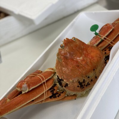 松葉ガニ　茹で　タグ付き　1.2kg up