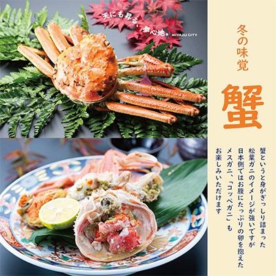 日本三景“天橋立”の旅館組合施設でご利用頂ける【宿泊・食事補助券A(3,000円)】