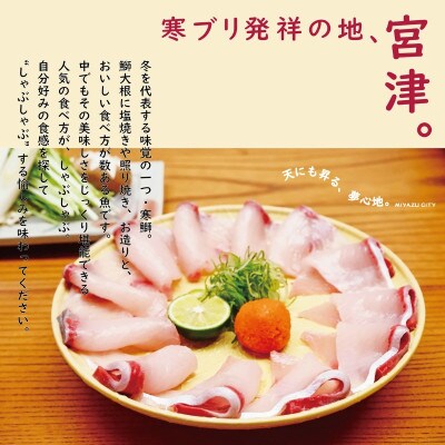 宮津市内の旅館組合施設利用可能な宿泊・食事補助券G(90,000円分)