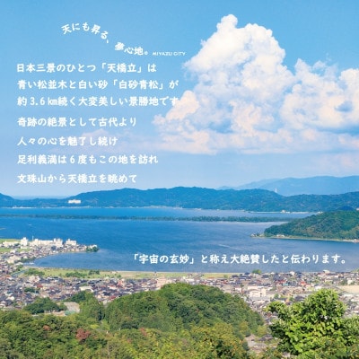 宮津市内の旅館組合施設利用可能な宿泊・食事補助券G(90,000円分)
