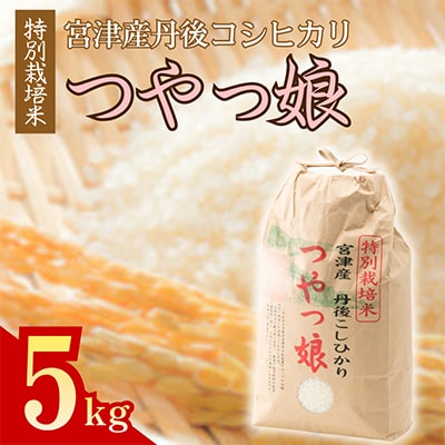 【令和7年産】【産地直送】特別栽培米 宮津産丹後コシヒカリ「つやっ娘」5kg