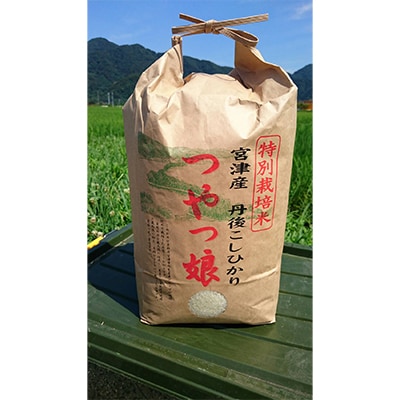 【令和7年産】【新米/産地直送】特別栽培米 宮津産丹後コシヒカリ「つやっ娘」5kg