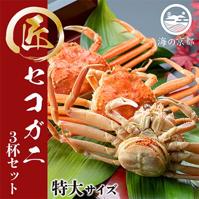 セコガニ　コッペがに　特大サイズ 3杯セット
