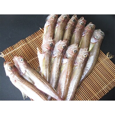 ハタハタ(大)　干物　一夜干し　450g×1箱