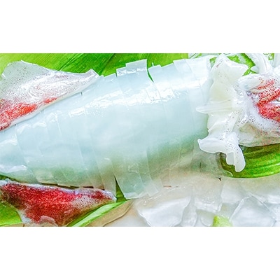 朝どれ白いか 1kg (中サイズ 3～6杯) 【京都産　刺身OK】