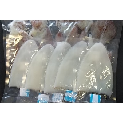 朝どれ白いか 1kg (中サイズ 3～6杯) 【京都産　刺身OK】