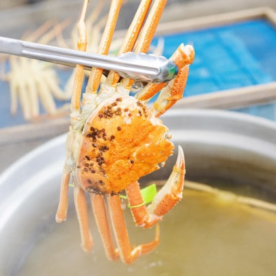 松葉蟹 ほぐし身(特大) 活き蟹1,000g級使用【甲羅盛り】