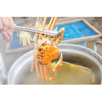 松葉蟹 ほぐし身(特々大) ※活き蟹1100g級使用【甲羅盛り】