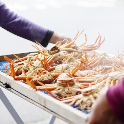 夫婦蟹 甲羅盛セット 松葉蟹 ほぐし身(大)※活き蟹(900g級)とコッペがに(中サイズ3個)