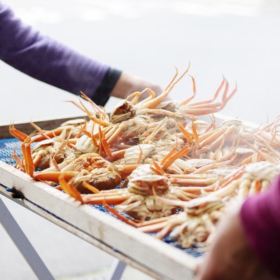 夫婦蟹 甲羅盛セット 松葉蟹 ほぐし身(大)※活き蟹(1100g級)とコッペがに(中サイズ3個)