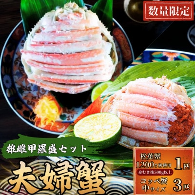 夫婦蟹 甲羅盛セット 松葉蟹 ほぐし身(大)※活き蟹(1200g級)とコッペがに(中サイズ3個)
