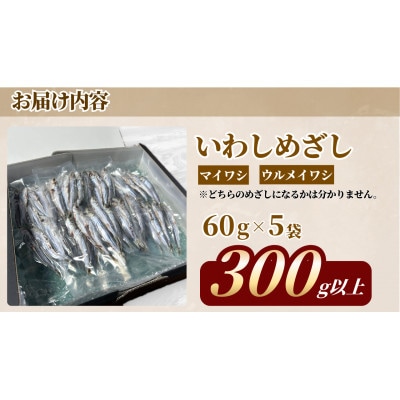 いわしめざし　60g×5袋　マイワシ　ウルメイワシ