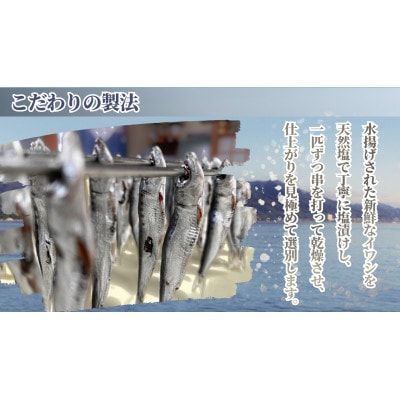 いわしめざし　60g×8袋　マイワシ　ウルメイワシ