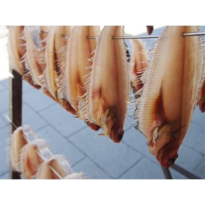 海の京都からお届け　海産物セット