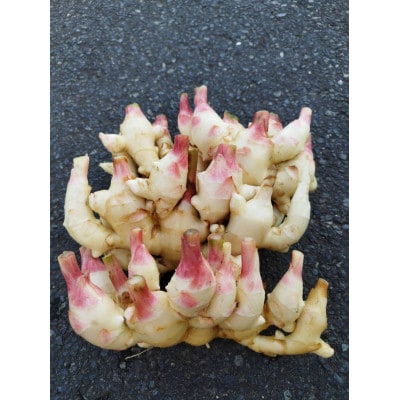 新生姜2kg(年間を通じて栽培圃場では栽培期間中農薬・化学肥料・除草剤不使用)