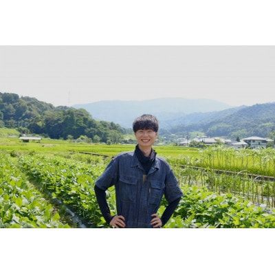 新生姜2kg(年間を通じて栽培圃場では栽培期間中農薬・化学肥料・除草剤不使用)