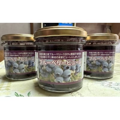 ブルーベリーピューレ 3個セット(ブルーベリー100%　無糖)